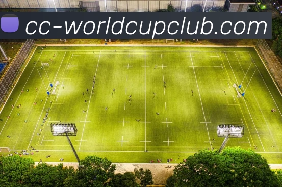 世俱杯线上平台平台生态图